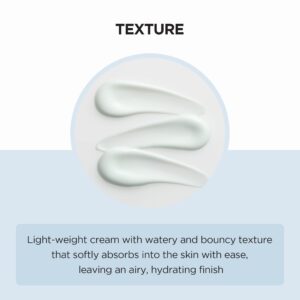 کرم مرطوب کننده هیالو سیکا سنتلا اسکین 1004 Madagascar Centella Hyalu-Cica Moisture Cream