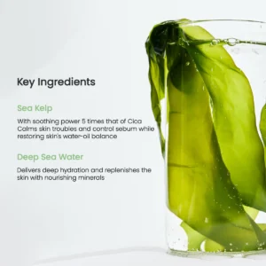 ماسک ورقه ای ضد جوش و کنترل چربی جلبک دریایی بایودنس biodance سبز مدل refreshing sea kelp اصل